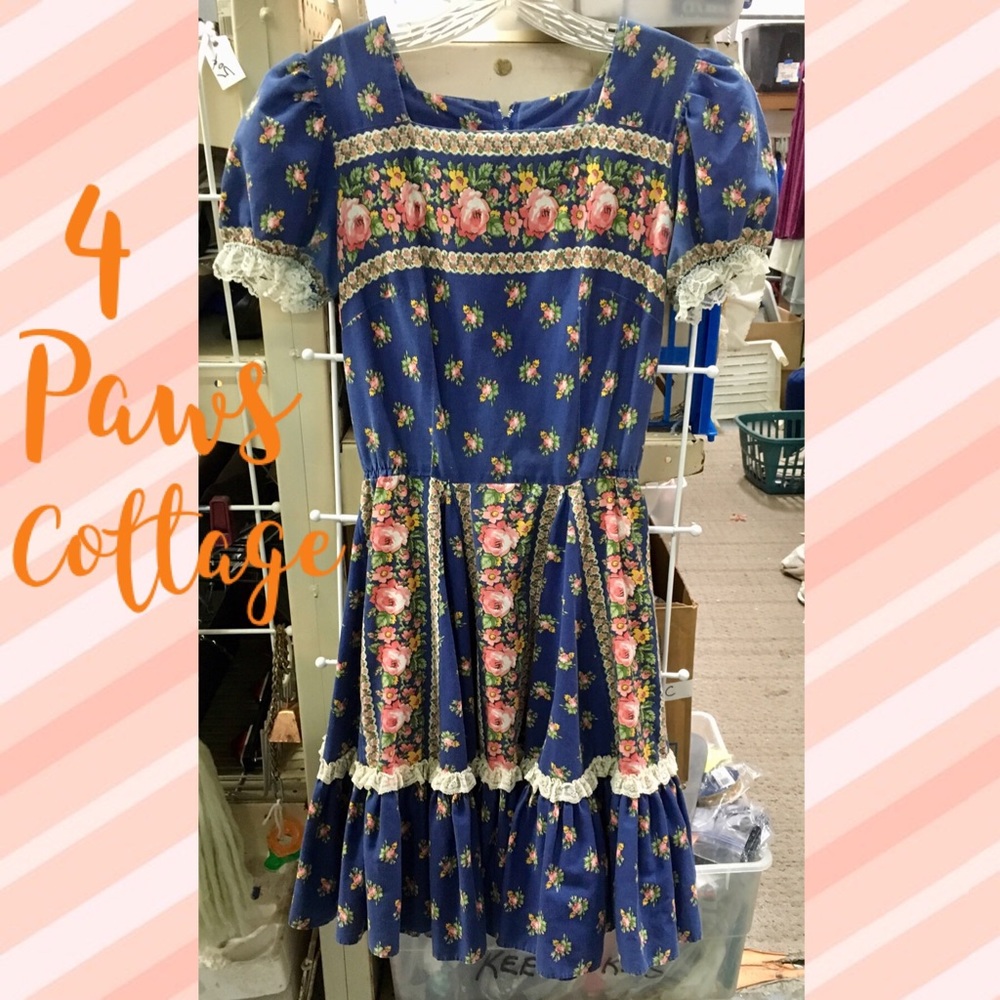 Vintage Square Dancing Dress
